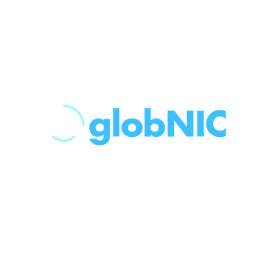GlobNIC