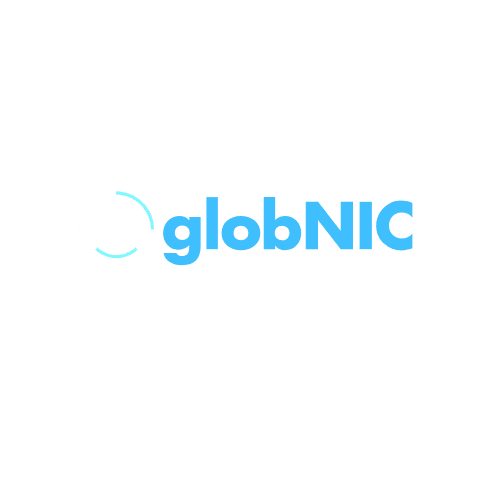GlobNIC