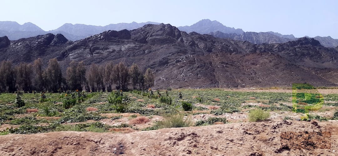 Balochistan Blast Kills Five Troops, Reigniting Security Concerns