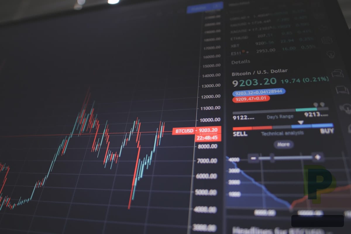 محسن نقوی اور پی سی بی پر پاکستانی سٹار کا شدید ردعمل: 'کھلاڑیوں کے سامنے جھکنے' کا الزام، کیا ٹیم کی کارکردگی مزید متاثر ہوگی؟