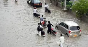 Sindh Rain Emergency